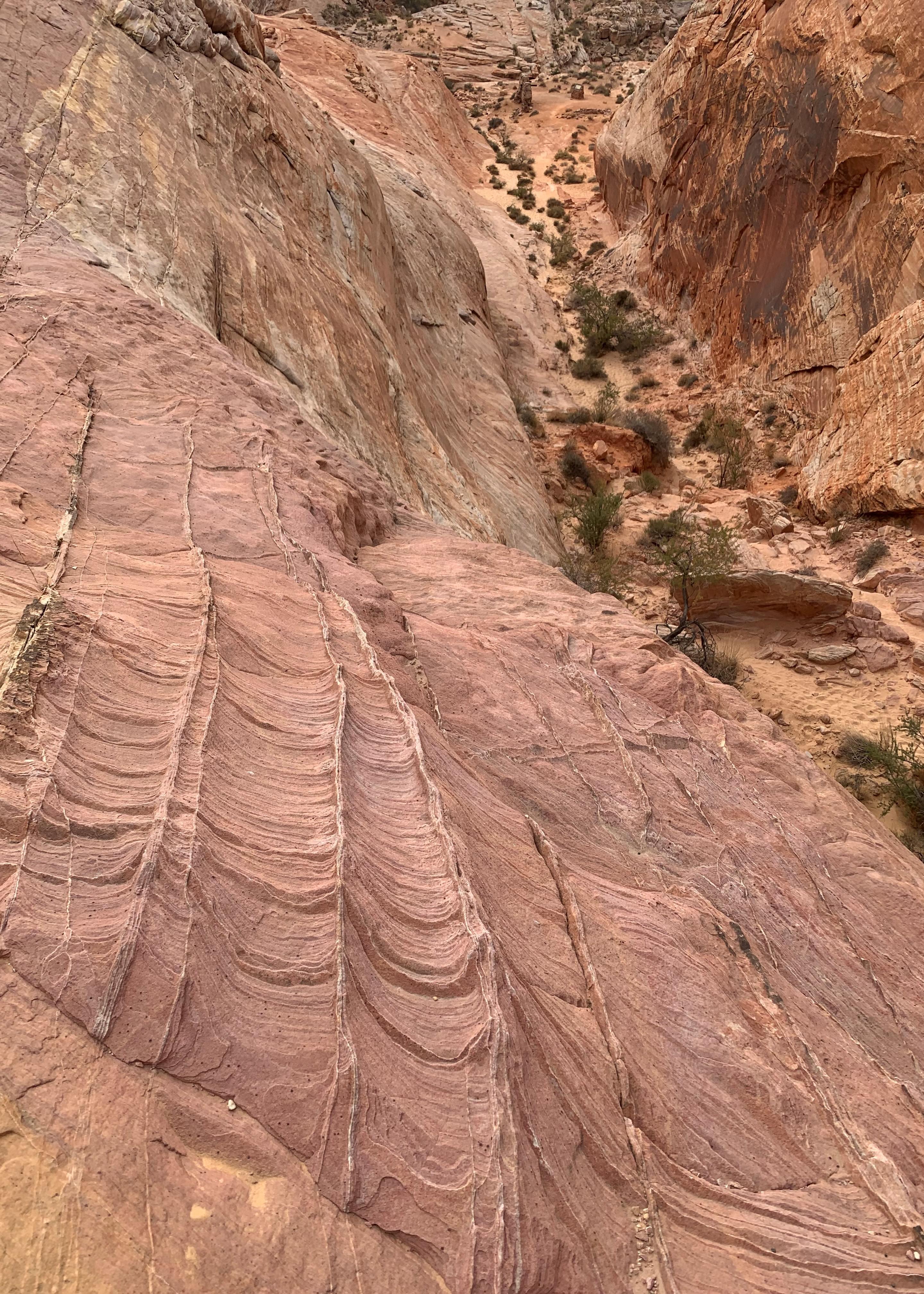 Nevada